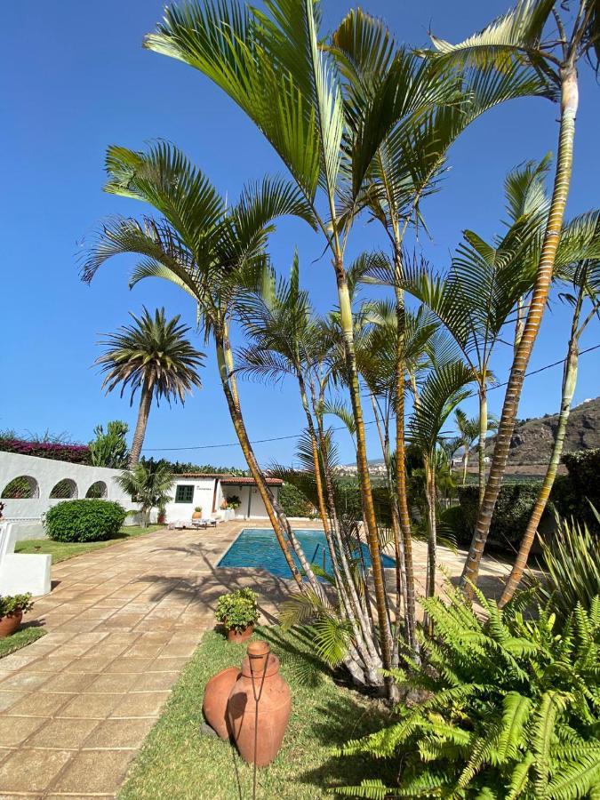 El Patio Garachico (Tenerife)